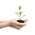 Logo First Human Capital