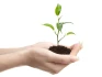Logo First Human Capital