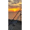 Fish & Fun Hemmingen