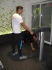 Logo fitbox / EMS Personal Training Barmbek