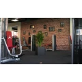 Fitness Arena Radebeul Radebeul