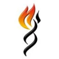 Logo Flamarium-Saalkreis- GmbH & Co. KG