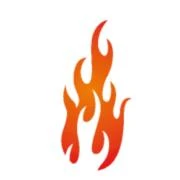 Logo flamazing