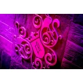 Logo Flamingo Royal