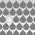 Logo Flash-Flowers GmbH