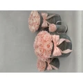 Rosenbox
