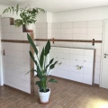 FliesenStil-Fliesenverlegung Hildesheim