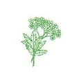 Logo Flora-Apotheke