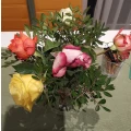 Florale Werkstatt Freiburg