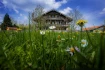 Logo Florian Schelle Pension