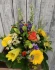 Logo Flower & Nature