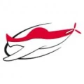 Logo Flugschule Nikolaus GmbH