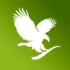 Logo Forever Living Products Distributor