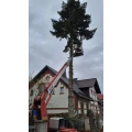 Forst- & Baumpflegeteam Lehnert Bleicherode