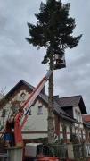 Forst- & Baumpflegeteam Lehnert Bleicherode