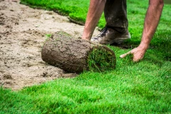 Forst- und Gartendienstleistung David Becker Schöppenstedt