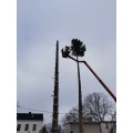 Forstbetrieb Sebastian Mann Sehmatal-Sehma