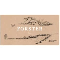 Logo Forster, Georg