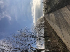 Forstwirtschaftsmeister Tobias Heite Schmallenberg