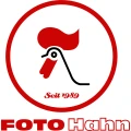 Foto Hahn Dresden Dresden