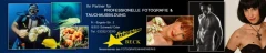 Logo Fotostern Beck Fotostudio