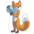 Fox Party Box e.K. Friedrichshafen