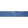 Logo Grinke und Gruner Handels GbR, Frank-Dieter