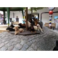 Frank Klose Hundeschule Kaiserkrone Magdeburg