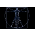 Logo Mege, Franz