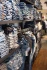 Logo freewilly JEANSWEAR Inh. Carolin Dreher