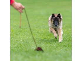 Freunde auf 4 Pfoten Hoff Sabine Hundetraining - Bodenkirchen