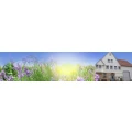Logo Baur, Friedhilde