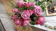 Friedhofsg&auml;rtnerei W&ouml;rner e.K. Remscheid