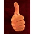 internal_portal_118802748326211679161654150572