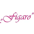 Logo Figaro Salon Irena