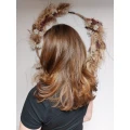 Highlights plus Glossing