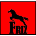 Friz Autolack Gmbh Co. Kg Dortmund