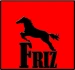 Logo Friz Autolack Gmbh Co. Kg