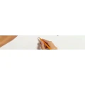 Logo Fuchs