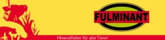 Logo Fulminant GmbH