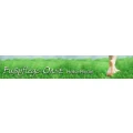 Logo Fu&szlig;pflege OASE Heike Riedel
