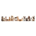 Logo Futterquelle24