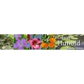 Logo Hunold, Gabriele