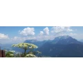 Logo Kiessling, Gabriele