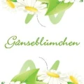 Logo G&auml;nsebl&uuml;mchen Blumen & Floristik