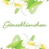 Logo Gänseblümchen Blumen & Floristik Nicole Arndt