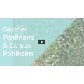 G&auml;rtner Ferdinand & Co Gie&szlig;en