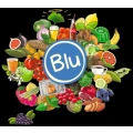 Logo G&auml;rtnerei Blu-Blumen GbR