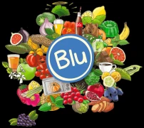 Logo Gärtnerei Blu-Blumen GbR