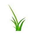Logo G&auml;rtnermeister Hesse GmbH